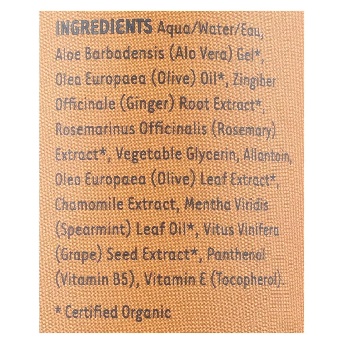 Organic Excellence Wild Mint Conditioner